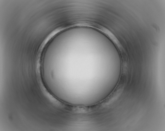 X0000114030955200910161817