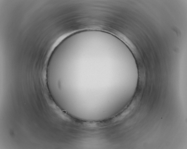 X0000114030956200910161817