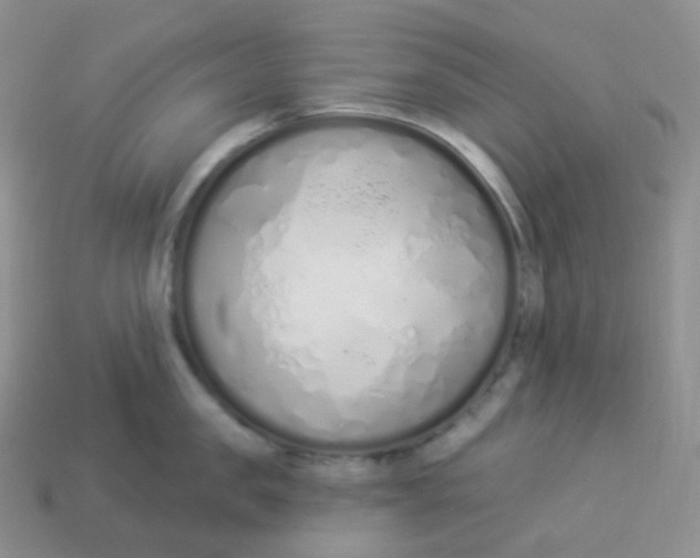 X0000114030957200910161817