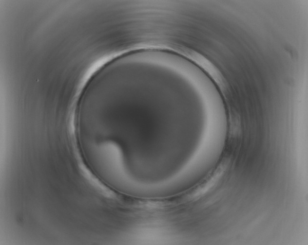 X0000114030958200910161817