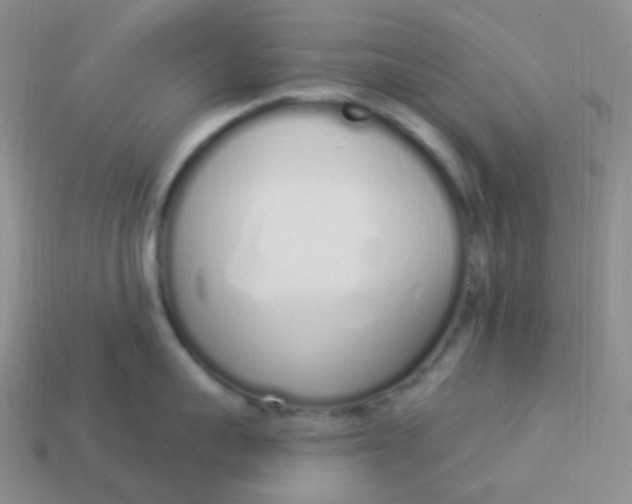 X0000114030959200910161817