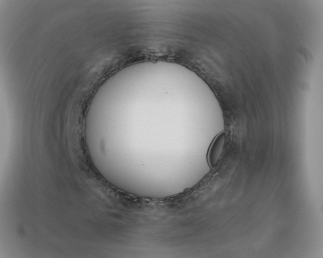 X0000114030961200910161816