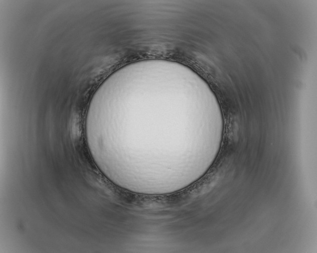 X0000114030962200910161816