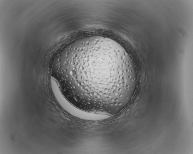 X0000114030965200910161816