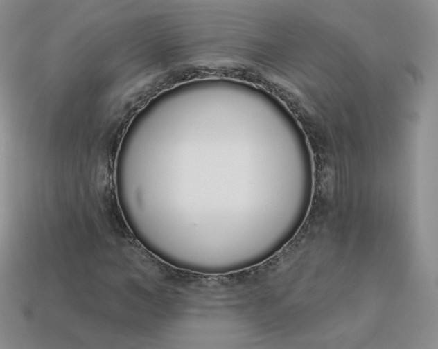 X0000114030966200910161816