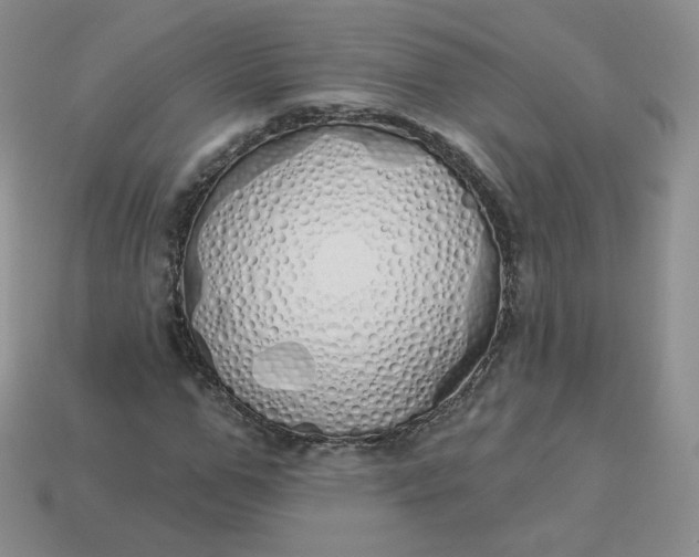 X0000114030967200910161816