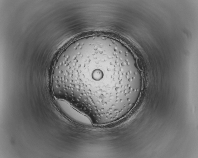 X0000114030969200910161816