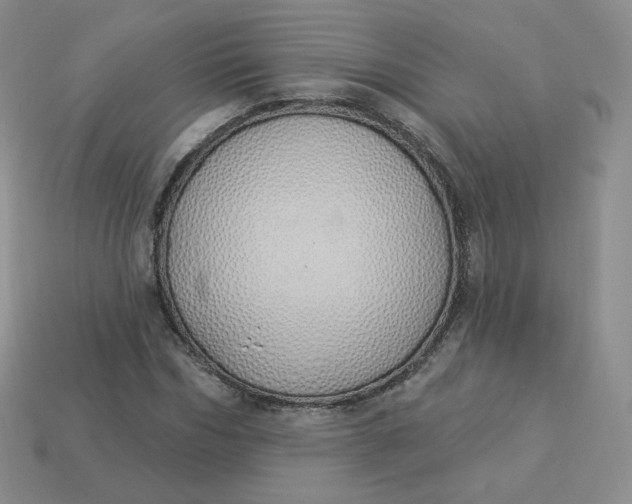 X0000114030970200910161816