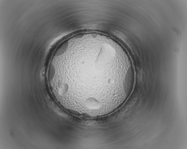 X0000114030971200910161816