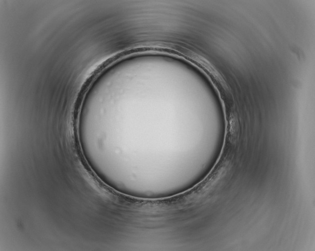 X0000114030972200910161816