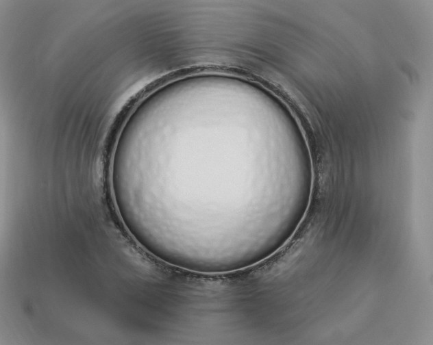 X0000114030975200910161816