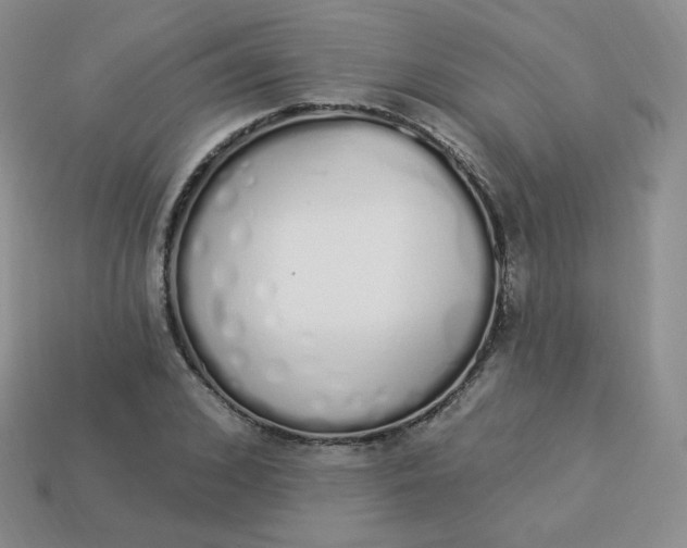 X0000114030976200910161816