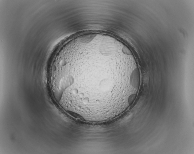 X0000114030979200910161816