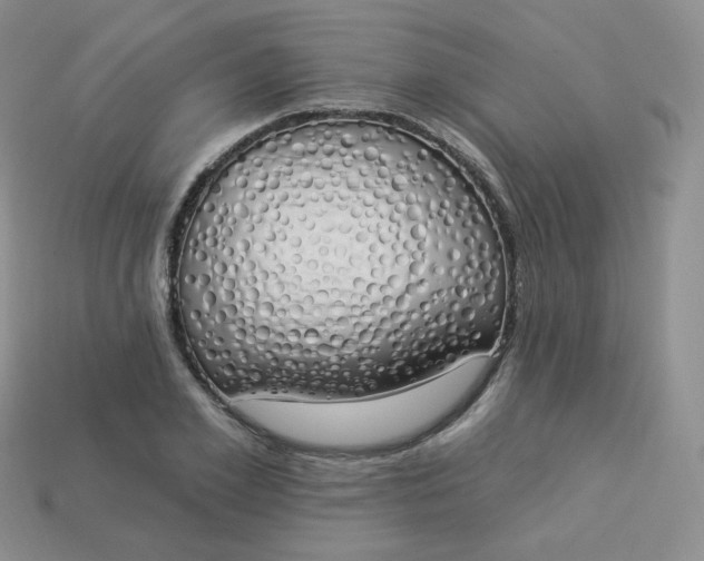 X0000114030981200910161816