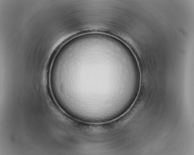 X0000114030983200910161816