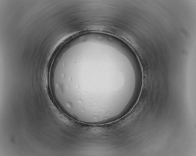 X0000114030984200910161816