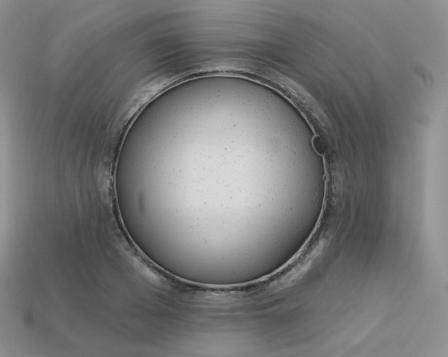 X0000114030985200910161816