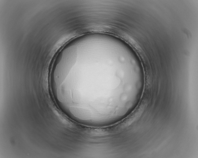 X0000114030986200910161816