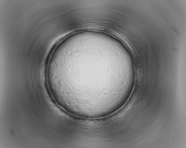 X0000114030987200910161816