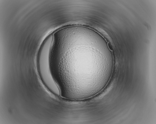 X0000114030989200910161816