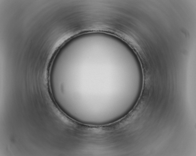 X0000114030990200910161816