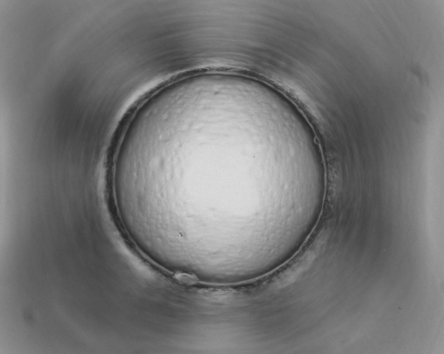 X0000114030991200910161815