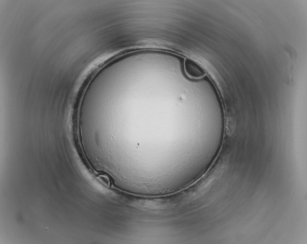 X0000114030995200910161815