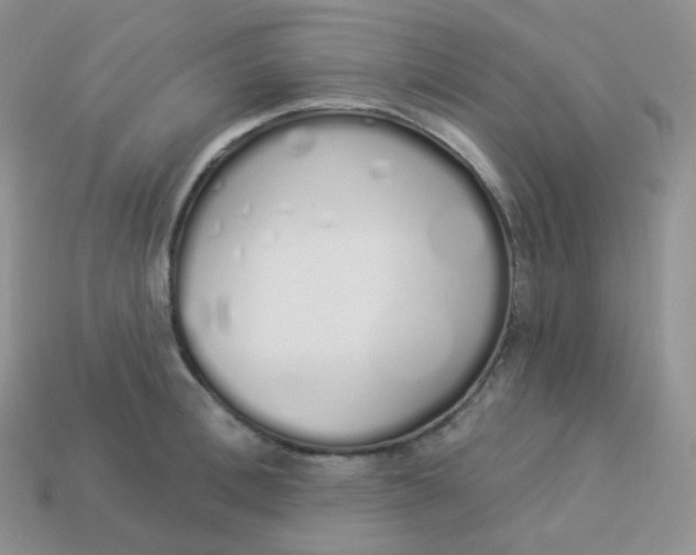 X0000114030996200910161815