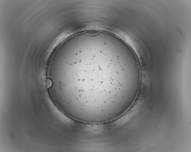 X0000114030997200910161815