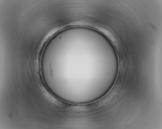 X0000114030998200910161815