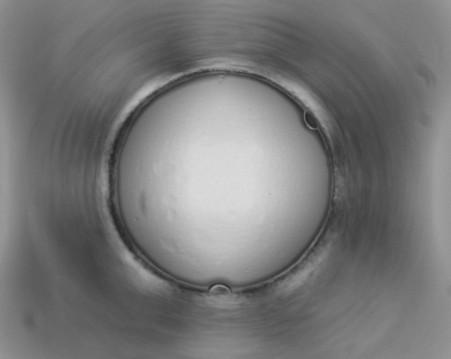 X0000114030999200910161815