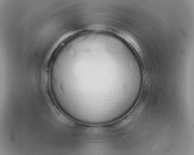 X0000114031000200910161815