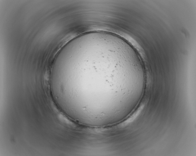 X0000114031001200910161815