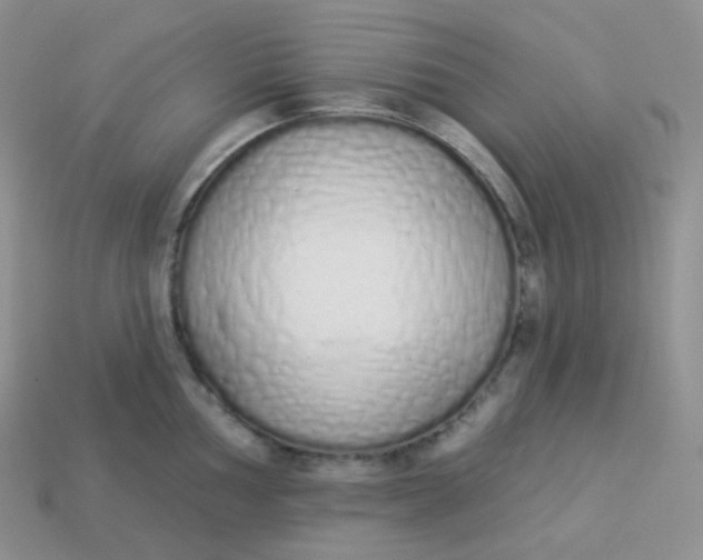 X0000114031002200910161815