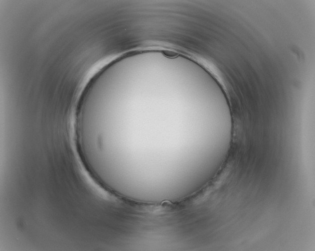 X0000114031003200910161815