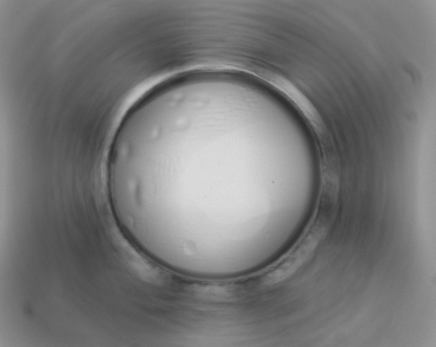 X0000114031004200910161815