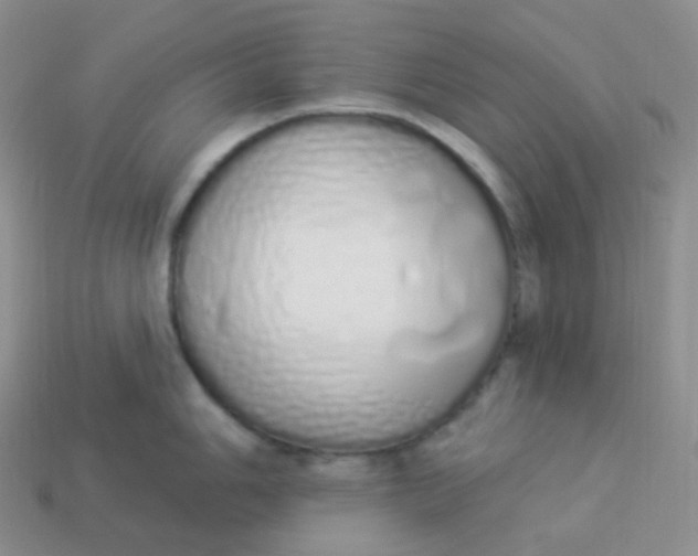 X0000114031006200910161815