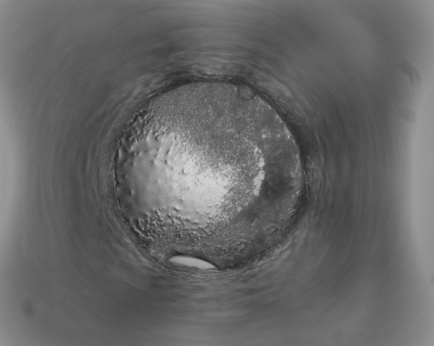 X0000114031009200910161814