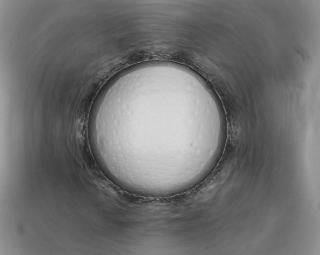 X0000114031010200910161814