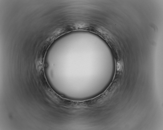 X0000114031011200910161814