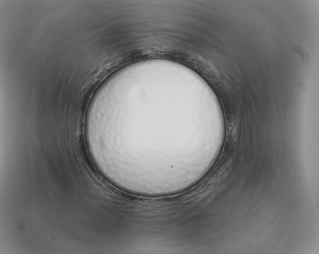 X0000114031012200910161814