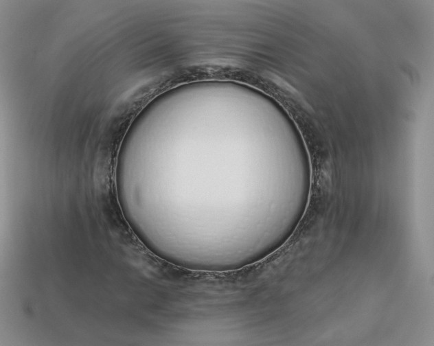 X0000114031014200910161815