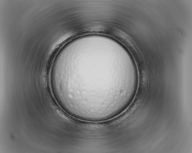 X0000114031018200910161815