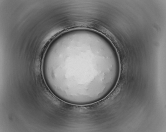 X0000114031019200910161815