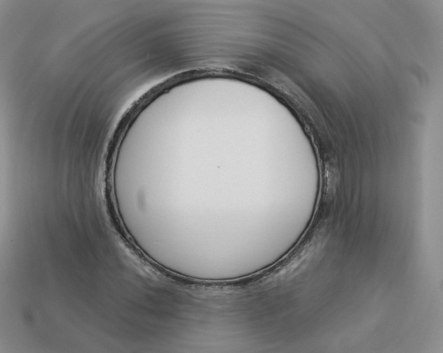 X0000114031020200910161815