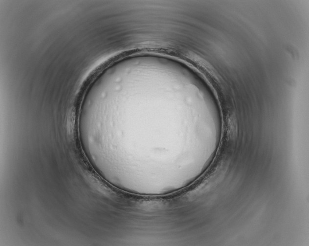 X0000114031021200910161815