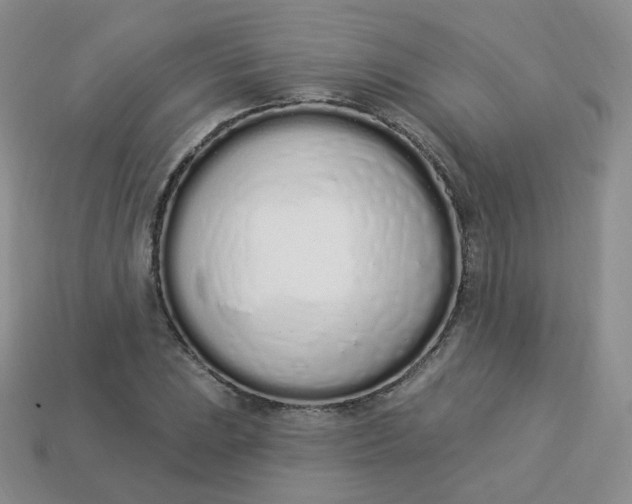 X0000114031023200910161815