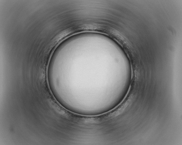 X0000114031025200910161815