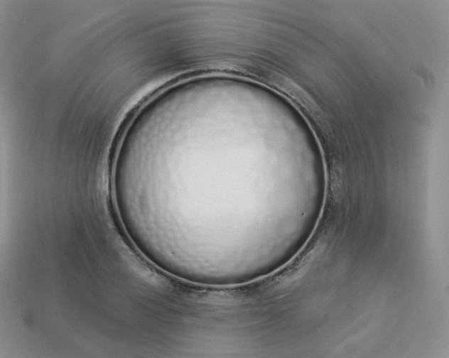 X0000114031028200910161815