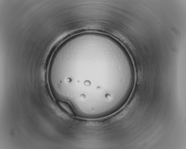 X0000114031029200910161815